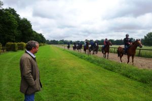 Hat 110 Rennpferde im Blick