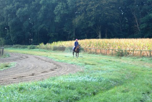 Die Trainingsbahn in Sassenberg, für sechs Monate ist Markus Münch mit seinen Pferden auf dem Hesselhof. www.dequia.de