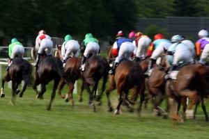 Dynamik, Pferde und Jockeys im Rennen. www.galoppfoto.de - Frank Sorge