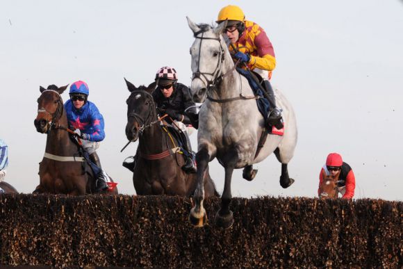 Dynaste mit Tom Scudamore springt in den Fullers London Pride Novices Chase am besten. www.galoppfoto.de - Frank Sorge