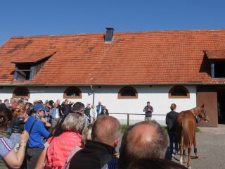 Ralf Kredel erläutert die Jährlingsvorbereitung für die Auktionen. Foto: Karina Strübbe