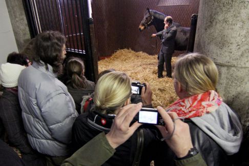 250 Besucher nutzen die Gelegenheit für den Blick hinter die Kulissen: Hier präsentiert Frank Dorff den Hengst Kallisto in der Box. www.galoppfoto.de - Frank Sorge