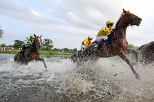 Gelon mit Oliver Schnakenberg im Seejagdrennen kommt als Erster aus dem Wasser. www.galoppfoto.de - Frank Sorge