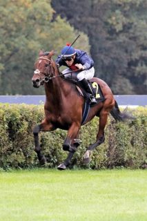 Zweiter Sieg für den Soldier Hollow-Sohn: Gepard unter Bauyrzhan Murzabayev gewinnt in Hoppegarten. www.galoppfoto.de - Sabine Brose