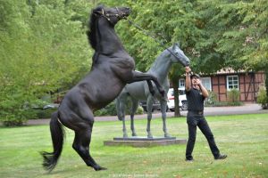 Gestüt Fährhof: Maxios präsentiert sich an der Hand von Pavel Pytlik. Foto: Ursula Stüwe-Schmitz