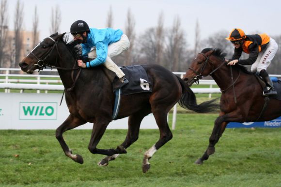 Gestüt Wittekindshofs Elle Shadow gewinnt in Dortmund den Rashit Shaykhutdinov-Cup, Gr. III