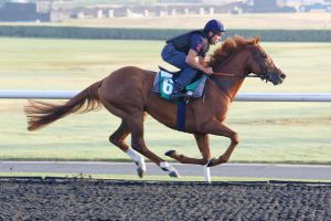 Girolamo mit Trainer Peter Schiergen im Sattel bei der Morgenarbeit in Dubai. www.galoppfoto.de - Frank Sorge