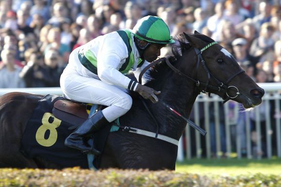 Hello Honey 2014-10-03 Hoppegarten  Foto: Rühl