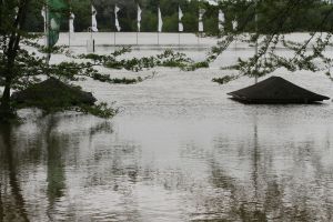 Hochwasser auf der Rennbahn in Halle und heute fürchtet Magdeburg. www.pferde-gtm.de - Katja Gerhard