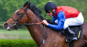 Stall Salzburgs Derbyhoffnung Impostor - hier noch im Schlenderhander Dress - wurde nachgenannt. www.galoppriem.de - Nolting