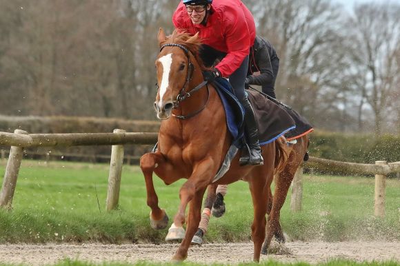 Jerome Robine mit Northern Ruler 2024-02-24