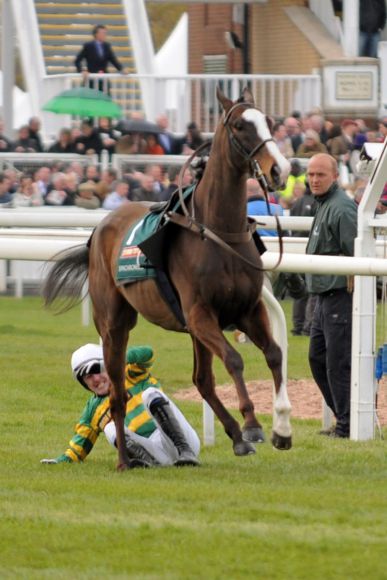 Die Tragik des Cheltenham Gold Cup-Siegers in Aintree