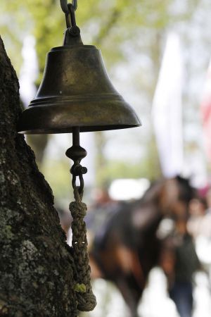 Wenn die Glocke läutet heißt es: Aufsitzen!