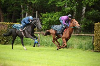 Rock of Romance (li) und Stellato