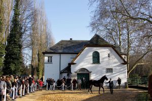 Kamsin wird beim Züchtertag im Gestüt Röttgen präsentiert. www.klatuso.com