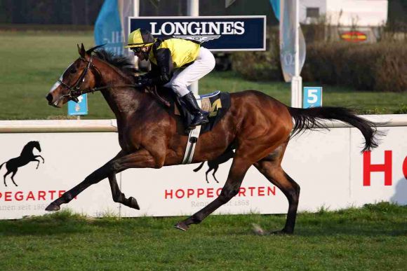 Kauttio 2017-04-02 Hoppegarten galoppfoto.de 