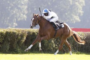 La Duma 2015-10-03 Hoppegarten  Foto: Rühl