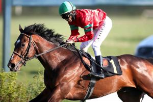 Lacento 2019-04-07 Hoppegarten  Foto Rühl