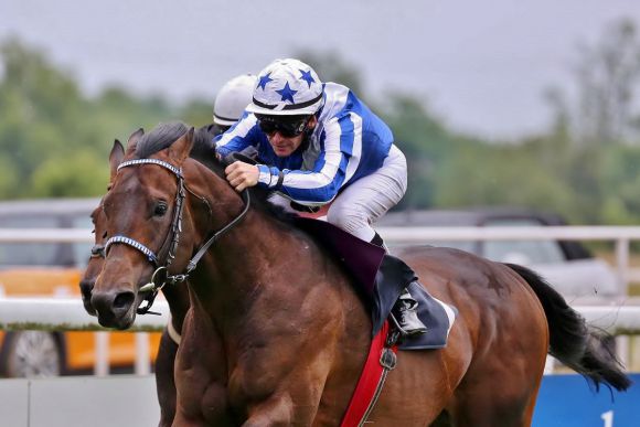 Long Cross 2015-06-21 Dortmund  Foto: Dr. J. Fuchs