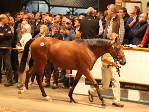 3,6 Millionen gns erzielt dieser Galileo-Sohn aus dem Angebot des Newsells Park Stud. www.tattersalls.com