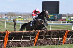 Die einzige Stute im Feld gewinnt die Juvenile Hurdle