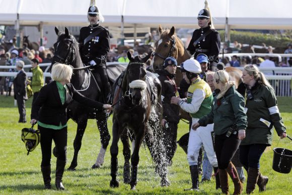 Verdiente Abkühlung nach dem großen Sieg: Many Clouds nach seinem Erfolg im Grand National. www.galoppfoto.de - John James Clark