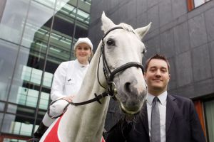 Marian Ziburske, Geschäftsführer der Westminster Unternehmensgruppe, ist Sponsor in Hoppegarten. www.galoppfoto.de