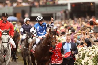 Protectionist mit Ryan Moore Melbourne Cup 2014 Foto Victoria Racing