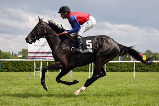 Milord mit Adrie de Vries beim Aufgalopp. www.galoppfoto.de