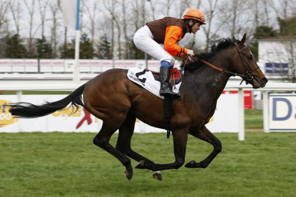 Monsieur de Frappe startet mit guten Chancen im BBAG Auktionsrennen München. www.galoppmuenchen.de - www.turfstock.com 