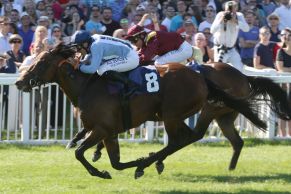 Sorgt für die faustdicke Überraschung: Namos gewinnt mit Wladimir Panov als 16,2:1–Außenseiter gegen den haushohen Favoriten The Right Man die Silberne Peitsche. www.galoppfoto.de - Sarah Bauer