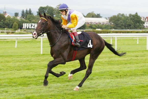 Hammer-Hansen in den Farben von Fincks, der ihn nach seinem Unfall 2002 unterstützte. Foto: www.galoppfoto.de - Frank Sorge