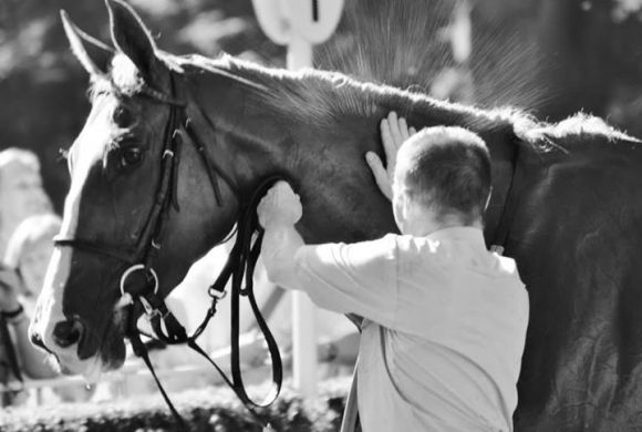 Nymphea - frischgebackene Gr. I-Siegerin mit ihrem Führer Mariusz Sadowski in Hoppegarten. Foto: Beatrice Ehlert