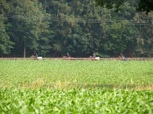 Die Rennbahn - idyllisch gelegen zwischen Wiesen und Feldern. www.dequia.de