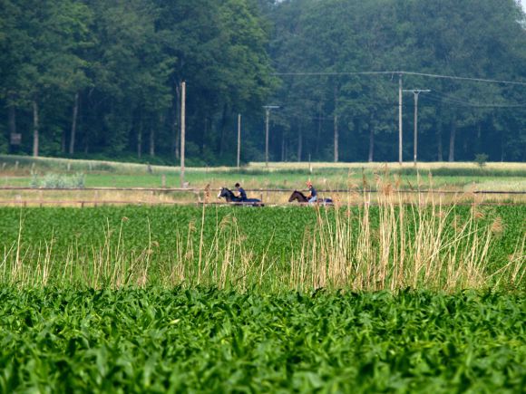 Die Rennbahn - idyllisch gelegen zwischen Wiesen und Feldern. www.dequia.de