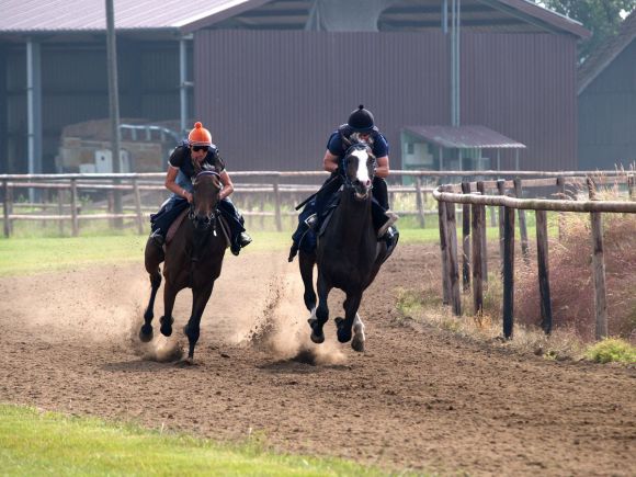 Die Rennbahn - das Lot im Galopp. www.dequia.de