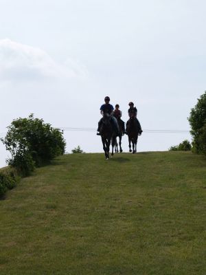 Der Hügel auf dem Hesselhof - für das ganz besondere Konditionstraining. www.dequia.de