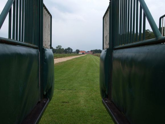 Die Rennbahn - Blick durch die Startmaschine. www.dequia.de