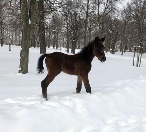 Schneemädchen