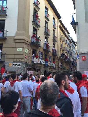 Pamplona 2015-07-09 