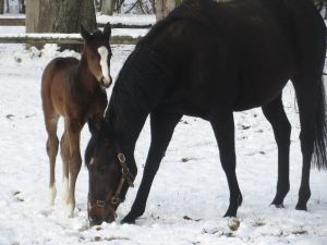 Spaß im Schnee