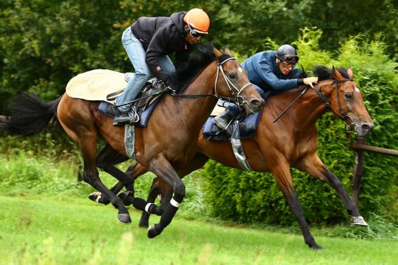 Protectionist und Altano 2014-08