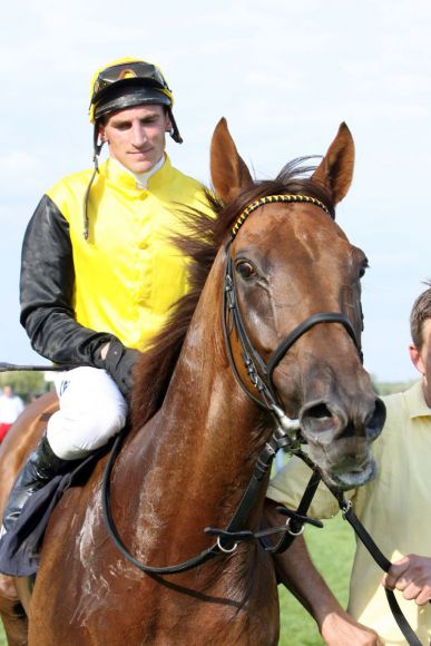 Sieger im 135. Großen Preis von Baden 2010: Quijano und Andrasch Starke. www.galoppfoto.de - Frank Sorge 