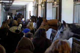 Rekordbesuch beim Röttgener Züchtertreff 2012. www.klatuso.com