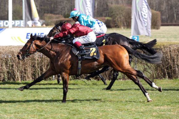 Rogue Runner 2015-04-05 Hoppegarten  galoppfoto.de 