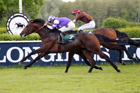 Der Sieger im Wettstar.de - Derby Trial in Hoppegarten in Höny-Hofer Farben