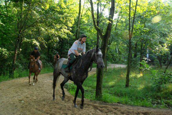 Der Trabring im Wald - vorneweg die ehemalige Amateurrennreiterin Alexa Gräfin zu Solms mit Night Prince. www.dequia.de