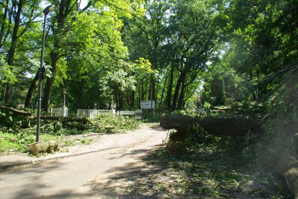 Nach dem Unwetter: So sah es noch vor einer Woche aus, jetzt sind die Zufahrten zur Düsseldorfer Rennbahn wieder frei. Lebensgefahr besteht allerdings weiter für die Wege im Wald, die dürfen nicht betreten werden. www.dequia.de