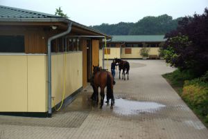 Die Stallungen - Blick von außen. www.dequia.de