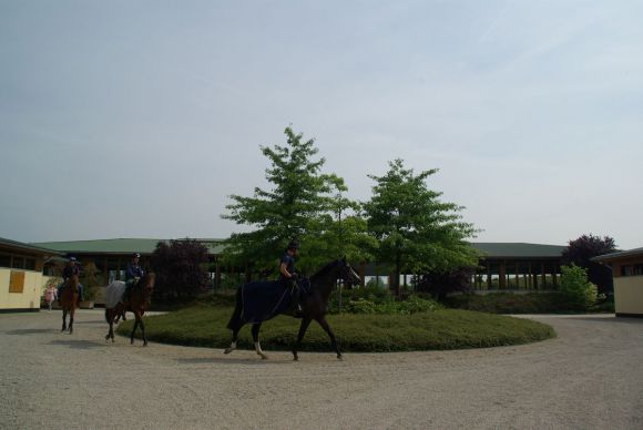 Der Hesselhof - der Eingangsbereich mit Reithalle, dem Stutenstall rechts und dem Hengststall links. www.dequia.de